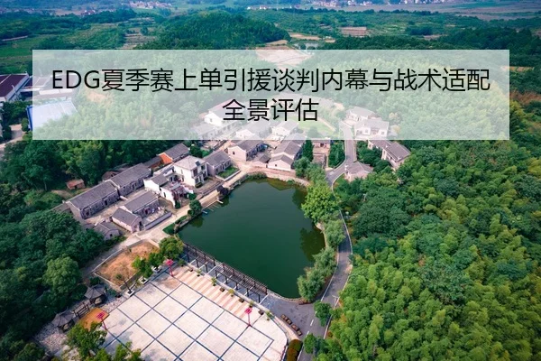 EDG夏季赛上单引援谈判内幕与战术适配全景评估